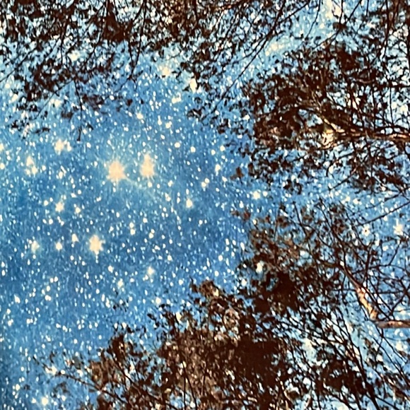 Starry Tapestry Forest Trees Night Sky Stars Tapestry - Picture 3 of 4